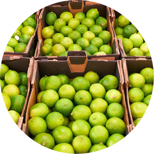 2 7 Packing And Cold Storage